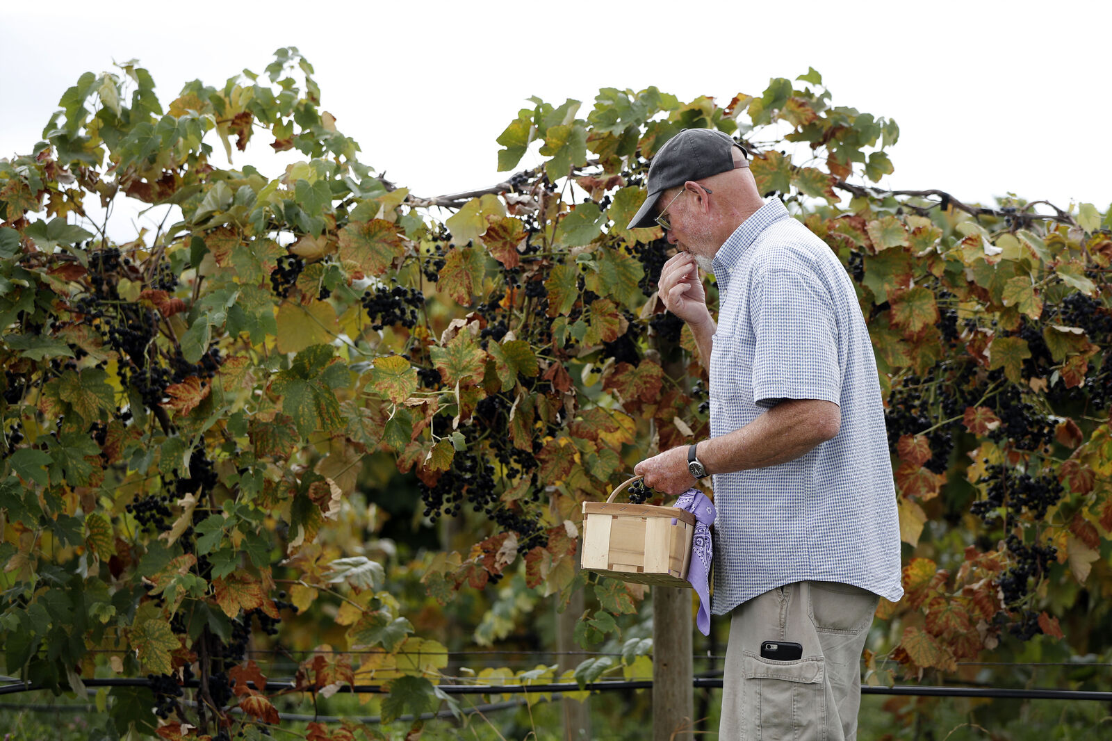 Johnson Estate Winery Frederick Johnson